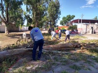 Cuadrillas de trabajadores retiran árboles caídos por la lluvia en Francisco I. Madero. (EL SIGLO DE TORREÓN) 
