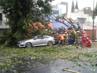 La Coordinación Municipal de Protección Civil y Bomberos Zapopan informó hoy que se reportan vehículos varados, árboles caídos e inundaciones en vía pública y en casa habitación tras las lluvias de las últimas horas en este municipio. (TWITTER/ NOTIMEX)