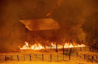 Desde el sábado pasado los incendios han arrasado unas 34 mil 800 hectáreas y los bomberos aún trabajan para controlar las llamas. (ARCHIVO)