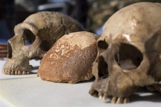 Se concluyó que los primeros humanos comprendían una metapoblación panafricana 'subdividida, cambiante y con diversidad física y cultural'. (ARCHIVO)