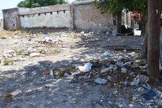 Sanción. El Ayuntamiento de Torreón aplicará multas a propietarios y propietarias de terrenos abandonados que estén en malas condiciones.