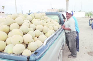Cíclico. Los productores de melón batallan cada año para vender su cosecha a un precio justo. (EL SIGLO DE TORREÓN)