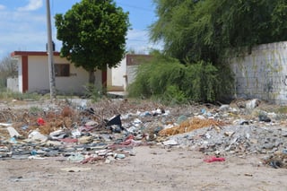 Suciedad. Hay terrenos abandonados de la colonia Valle Hermoso en Matamoros y que están sucios. (EL SIGLO DE TORREÓN/ROBERTO ITURRIAGA)