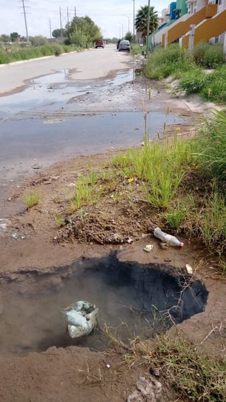 Se desperdicia. La fuga de agua potable alcanza varias cuadras de la colonia Fraccionamiento Lagos. (EL SIGLO DE TORREÓN)