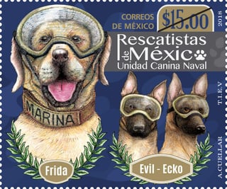 Correos de México, emitió una estampilla dedicada a los binomios caninos de la Semar. (ARCHIVO)