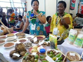 Los pueblos indígenas llevan al Salón del Gusto de Turín su propia idea de alimentación saludable como antídoto contra las enfermedades. (EFE)