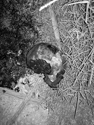 Investigación. Sobre una fogata localizan el cráneo de una mujer, en domicilio de Gómez.