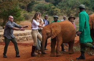 Visita. Vestida con una camisa blanca, pantalones y botas marrones de caña alta, Melania alimentó a varias crías de elefante.