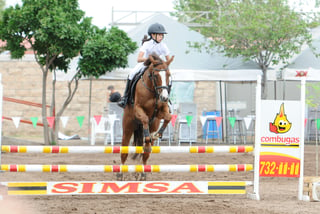 Jinetes locales y foráneos, de distintas edades y niveles de competencia, se dieron cita en este concurso de salto ecuestre que pretende impulsar la práctica de la equitación con alta exigencia.