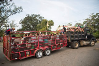 La segunda caravana integrada principalmente por hondureños salió de último minuto en 'aventones' con rumbo a Veracruz; consideraron que el municipio no había atendido sus peticiones, además de no haber comida suficiente. (ARCHIVO)