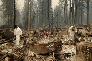 La cifra de decesos por los incendios forestales en California llegó a 50 y se prevé que aumente dada la magnitud de los incendios. (AP)