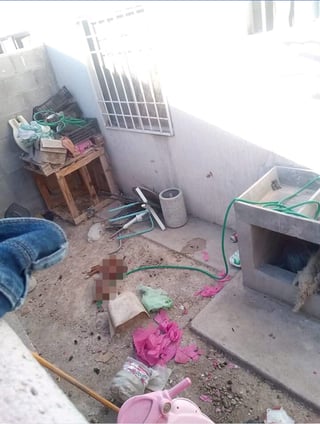 Violencia. Reportan caso de crueldad animal en la colonia Villas Centenario de Torreón. (CORTESÍA)