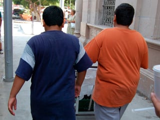 Los niños con obesidad tienen mayor riesgo de muerte prematura o discapacidad adulta, señaló hoy en un comunicado el nutriólogo Víctor Panduro Tucarit, del Instituto Mexicano del Seguro Social (IMSS). (ARCHIVO)