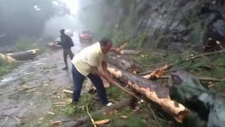 Un hombre corta ramas a un árbol tras el paso de un ciclón. (AP)