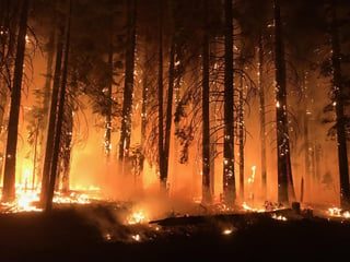 Riesgo. Los grupos de bomberos combaten las llamas en el incendio de Camp Fire.