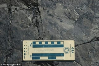 Fueron descubiertas en Corea del Sur por un equipo internacional de paleontólogos. (ESPECIAL)