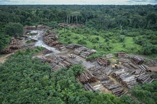 Riesgo. Bolsonaro prometió suavizar las protecciones a zonas del Amazonas brasileño resguardadas como tierras indígenas. (AP)