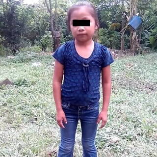 Indagan. La muerte de la pequeña es ya investigada por la Oficina del Inspector General del Departamento de Seguridad. (ARCHIVO)