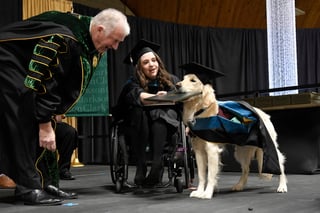 Un perro fue premiado durante una graduación de maestría en la Universidad de Clarkson de Nueva York, por su labor de auxilio a una joven estudiante en silla de ruedas. (ARCHIVO)
