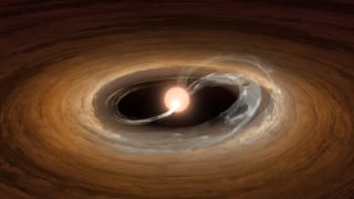 El astro recién descubierto, Gaia 17bpi, es de una clase de estrellas que ganan masa cuando la materia que gira alrededor del cuerpo celeste cae sobre su superficie. (ESPECIAL)