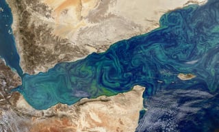 Más de 50 por ciento del oxígeno se produce en el mar mediante la fotosíntesis desencadenada por el fitoplancton. (ARCHIVO)