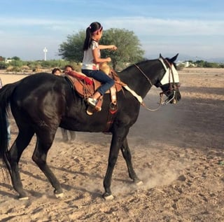 El cupo es limitado para niños y niñas de entre 4 y 15 años de edad, quienes aprenderán desde lo más básico, hasta galopar a caballo.