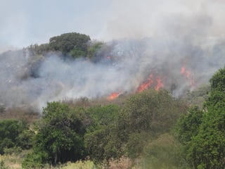Cifras. Se han registrado 44 incendios forestales, de los cuales 12 se encuentran activos, 27 controlados y cinco extinguidos. (ARCHIVO)