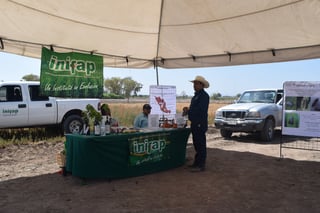Especialistas del Inifap, adscritos al Campo Experimental Saltillo, Coahuila, destacaron la importancia de implementar prácticas de manejo de pastizales para recuperación y conservación. (ARCHIVO)