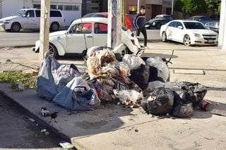 Montones de basura se acumulan, las cuales son el blanco de los perros callejeros. (EL SIGLO DE TORREÓN)