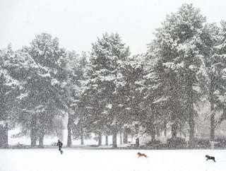 Intensa. Tom Sawyer juega con sus perros Tucker y Tanner en la nieve en Liberty Park, en Salt Lake City. (EL SIGLO DE TORREÓN) 