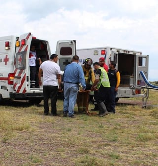 La avioneta se desplomó en las inmediaciones del poblado 5 de Febrero. (ARCHIVO)

