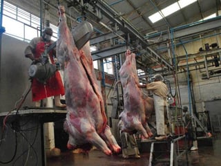Paulatino. Cada año se reduce el número de cabezas de ganado que se sacrifican en rastros oficiales para el consumo de carne. (EL SIGLO DE TORREÓN)