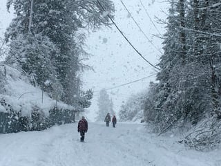 Intensas. Personas caminan sobre un camino cubierto de nieve en Olympia, Washington. (AP)