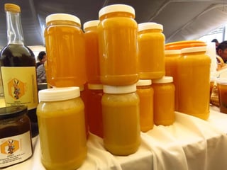 Del total de la producción de miel, indicó, al menos 155 toneladas corresponden al producto elevadora de manera orgánica que elaboran en los municipios de Santos Reyes Nopala, en la zona Chatina y en Santa Cruz Teotilálpam, en la región de la Cañada. (ARCHIVO)