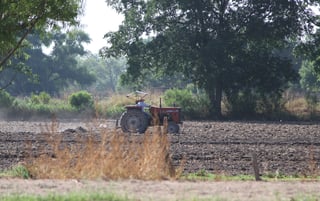 El nuevo programa que se maneja para los campesinos busca beneficiar sobre todo a los pequeños y mediano productores.