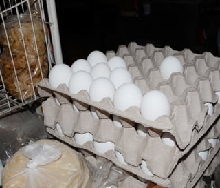 La producción de huevo a nivel país durante enero pasado fue de 236 mil 009 toneladas,