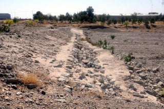 Declaran desastre natural en nueve municipios de Durango por sequía. (ARCHIVO) 