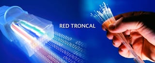 La Red Troncal que dará conectividad al país contará con 50 mil kilómetros de fibra oscura, aseguró el presidente Andrés Manuel López Obrador. (ARCHIVO)
