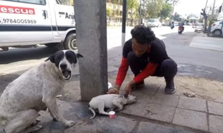 El cachorro y su madre fueron rescatados por la organización Animal Aid Unlimited (INTERNET)  
