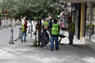 Va el municipio de Torreón por un contrato para dar solución al problema de suciedad por acumulación de escombros y ramas secas.