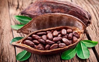 El cacao fue el oro más preciado del imperio maya debido a todas sus buenas propiedades. (ARCHIVO)