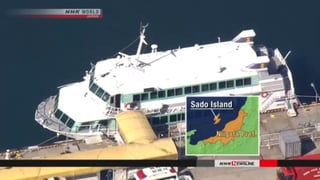 NHK difundió declaraciones de un experto que asegura que la magnitud del impacto apunta a que el barco chocó con una ballena.