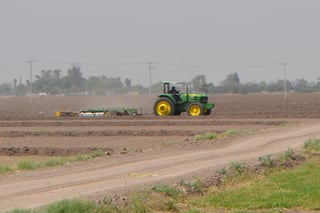 Productores del sector rural de San Pedro siguen adelante con los trabajos en las parcelas, con motivo del inicio del Ciclo de Riego Agrícola primavera verano 2019. (EL SIGLO DE TORREÓN/CLAUDIA LANDEROS)