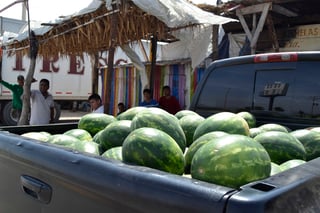 Hay sandías en 'Las Meloneras', pero no es cosechada en esta región, sino en el estado de Campeche, donde ahorita es temporada. (EL SIGLO DE TORREÓN/EDITH GONZÁLEZ)