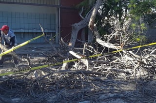Un árbol de la primaria ubicada en el ejido San Miguel, cayó encima de los baños, ocasionando daños a la infraestructura. Afortunadamente no hubo personas lesionadas. (EL SIGLO DE TORREÓN)