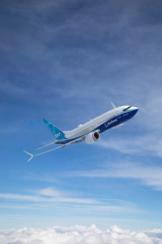 Las autoridades y varias aerolíneas han suspendido los vuelos del 737 Max 8 en todo el mundo, mientras Boeing trabaja en una actualización de su software que podría resolver el problema.