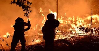 Un operativo de 689 personas fue desplegado en la zona para tratar de apagar las llamas, entre las que 30 bomberos desaparecieron tras un cambio repentino en la dirección del viento. (ESPECIAL)