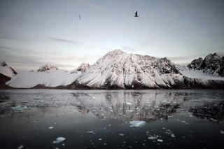 El incremento de la temperatura del planeta afecta al Ártico. (ARCHIVO)