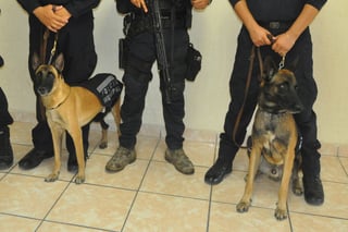 Avanza el proyecto para la incorporación de la primera Unidad Canina dentro de la Policía Municipal de Matamoros.
