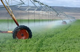 El mayor volumen de agua concesionado es para uso agrícola, que representa el 76.04 por ciento. (ARCHIVO)